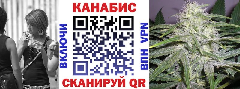даркнет сайт  Ачинск  Каннабис сатива 